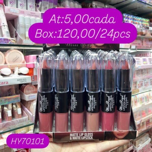 HY70101- Lip Gloss & matte