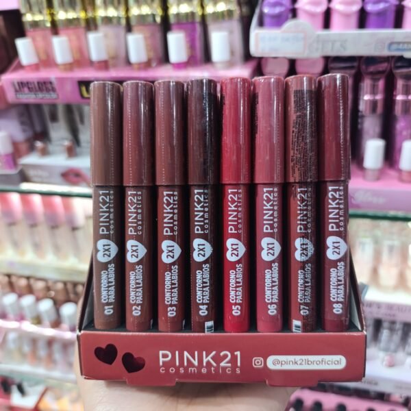 CS5128 Lápis labial Pink21/ 48pcs
