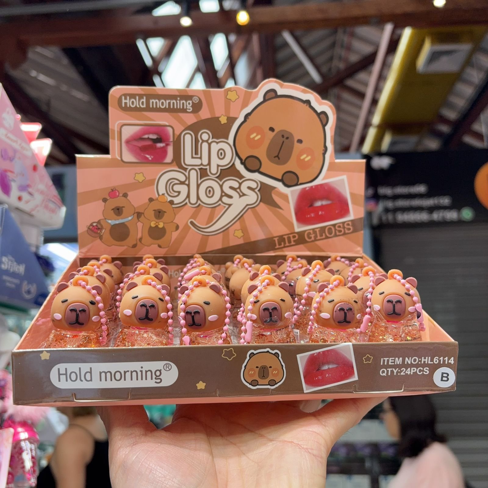 HL6114 Lip Gloss capivara box/24pcs