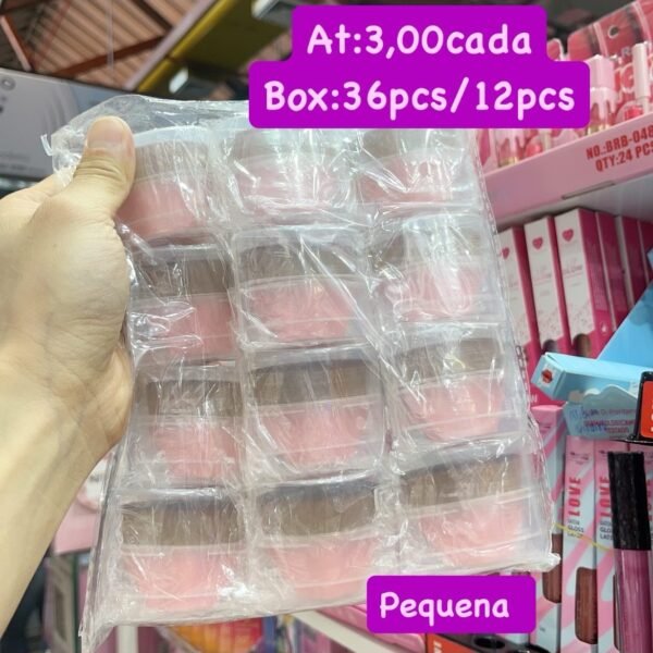 Pincel pequena box/12pcs