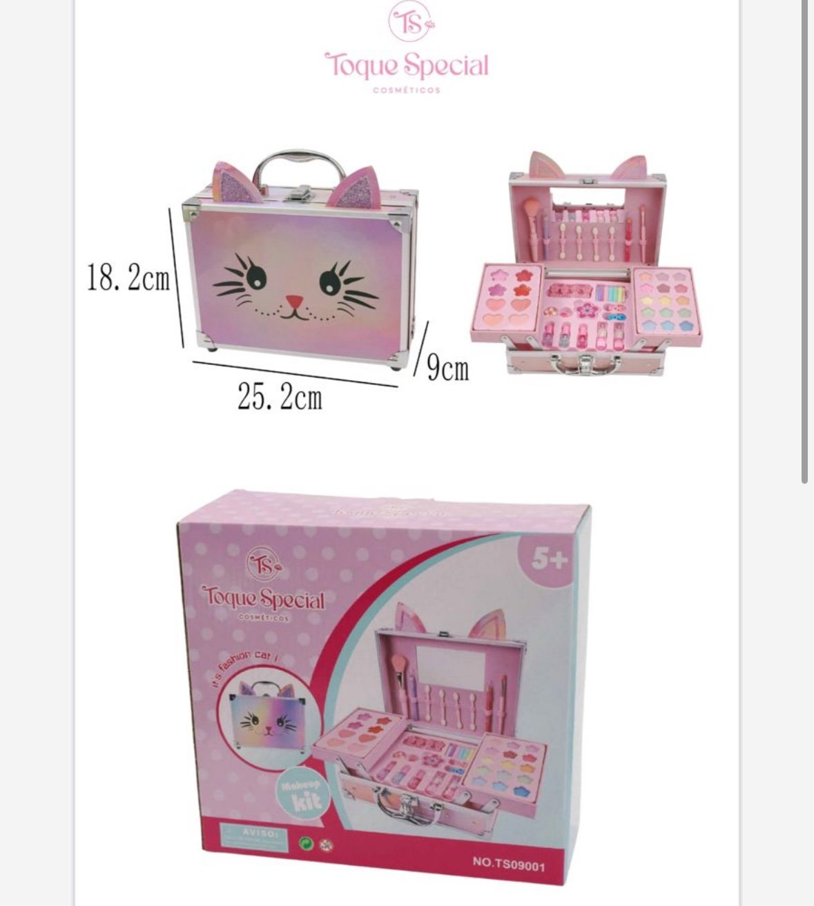 TS09001 maleta de maquiagem