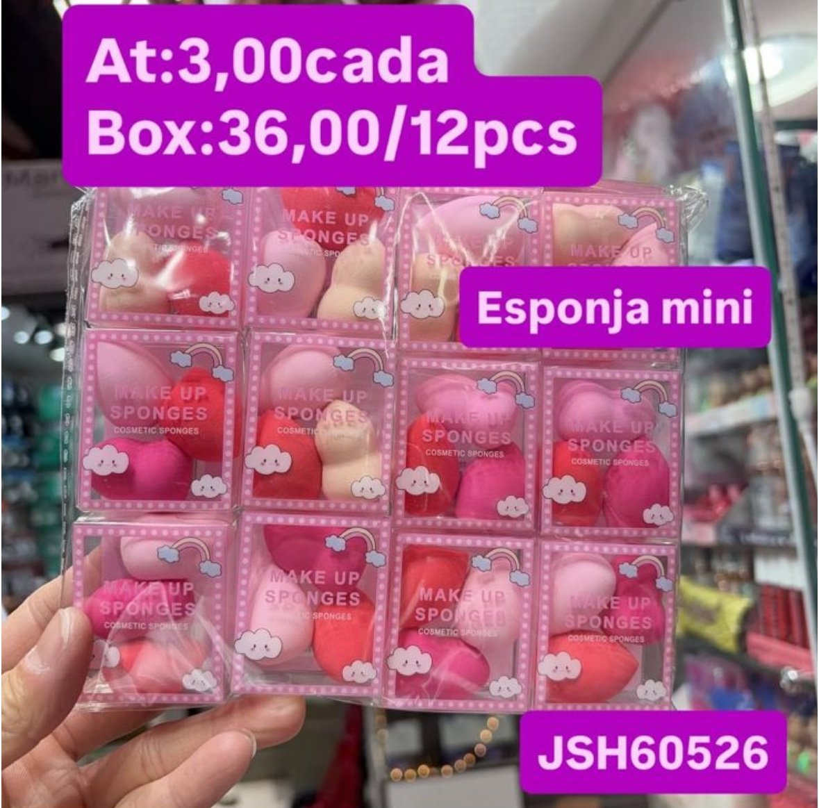JSH60526 esponja mini box/12pcs